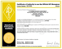 Certificate API-602 1 ~blog/2022/3/28/api_602_2025